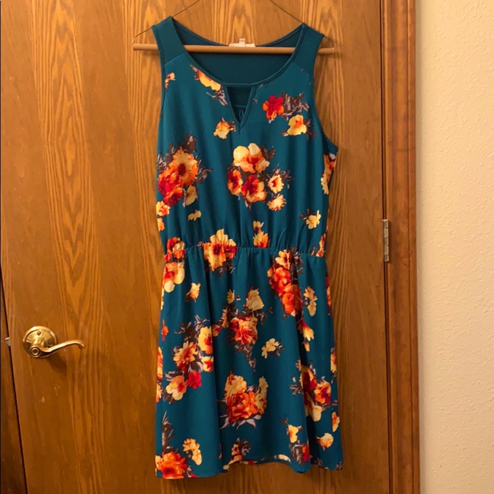 41 Hawthorn dress